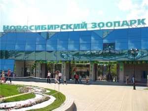 Работа и вакансии в Новосибирске